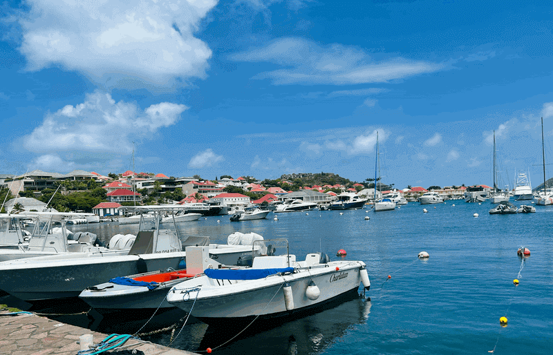 Boats along the harbor with clear skies and beautiful blue waters