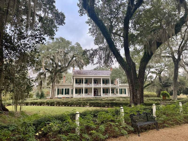 A two story white house with windows and green shutters surrounded by live oak trees dripping with Spanish moss.