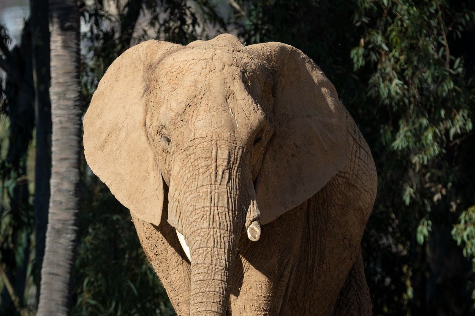 10 Spring Break Ideas in Southern California 2026