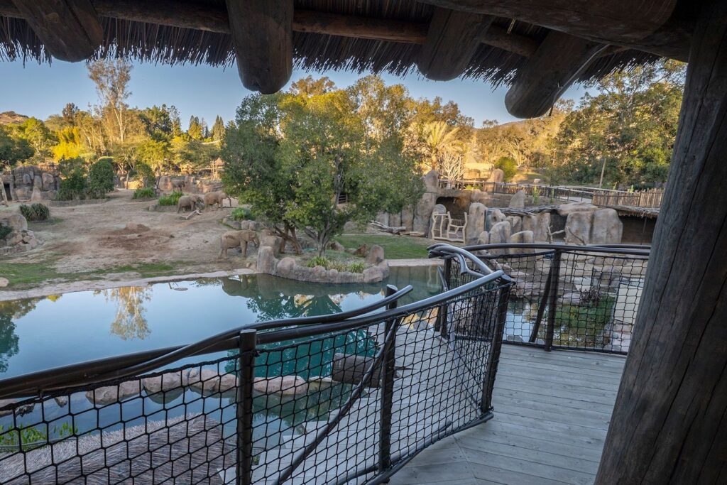 Savanna view of elephant watering hall from Mtkutano restaurant at San Diego Zoo Safari Park.
