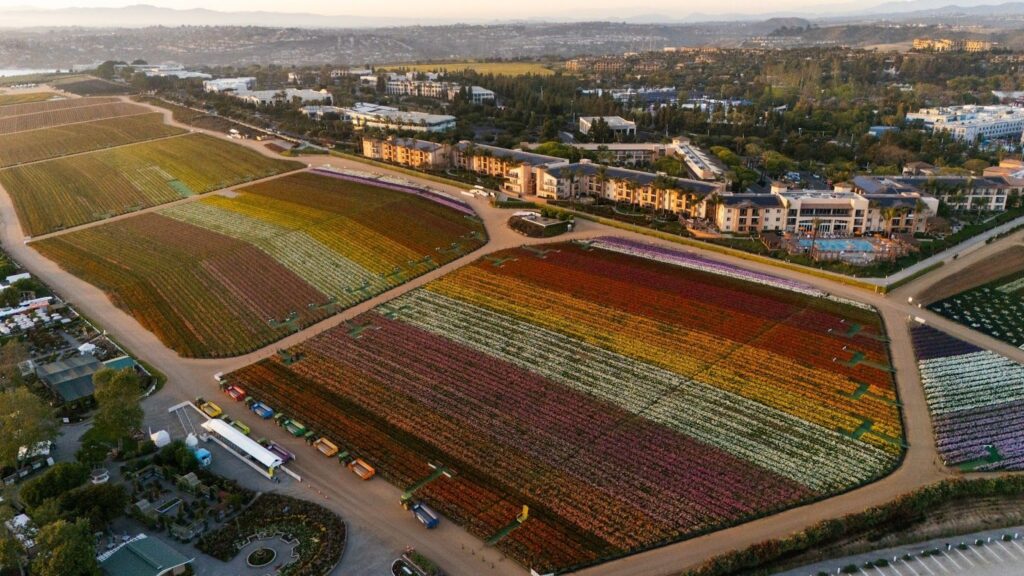 Southern California Spring Break Ideas: Discover Fun | SheBuysTravel