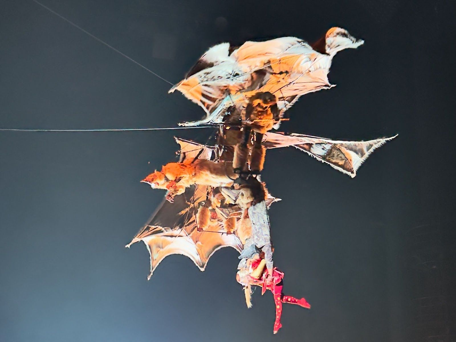 Aerial acrobats in the shape of a bird with wings in KA by Cirque du Soleil at MGM Grand Las Vegas.
