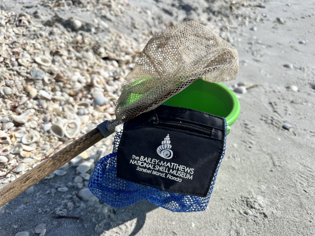 Green bucket, blue mesh bag and long-handled net on a beach covered in seashells.