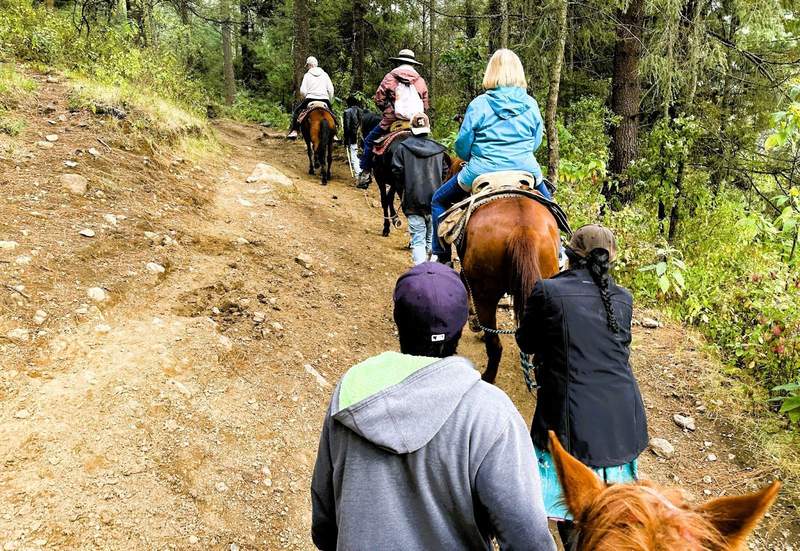 Visitors ride horses along a steep trail in the monarch reserve.