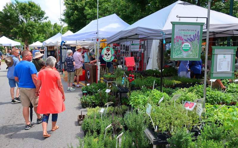 Main Street Hendersonville during the Garden Jubilee.