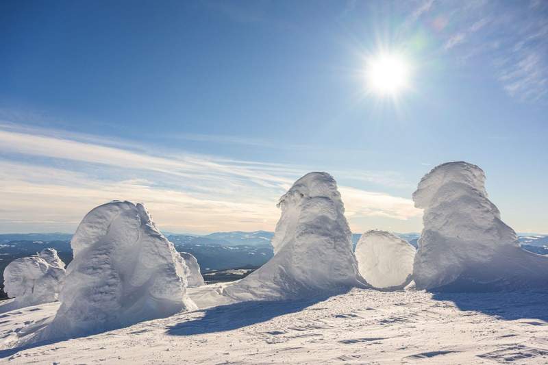 Trees covered with ice crystals form snow ghost sculptures at Big White Ski Resort in British Columbia.