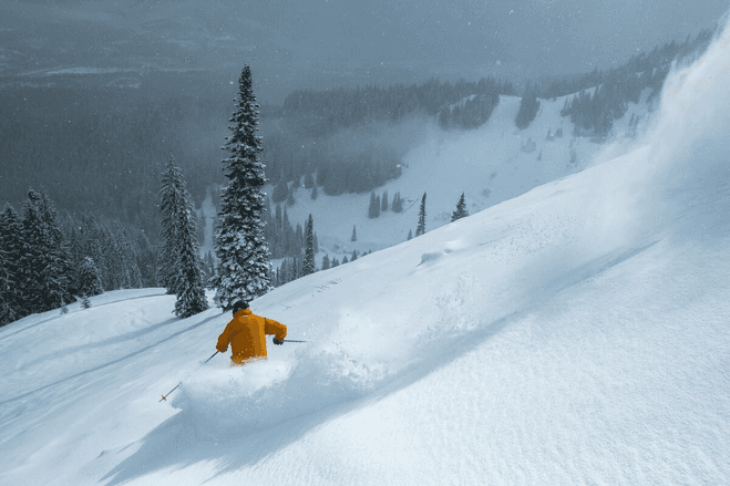 Lone skier gliding through deep powder at Fernie Alpine Resort.