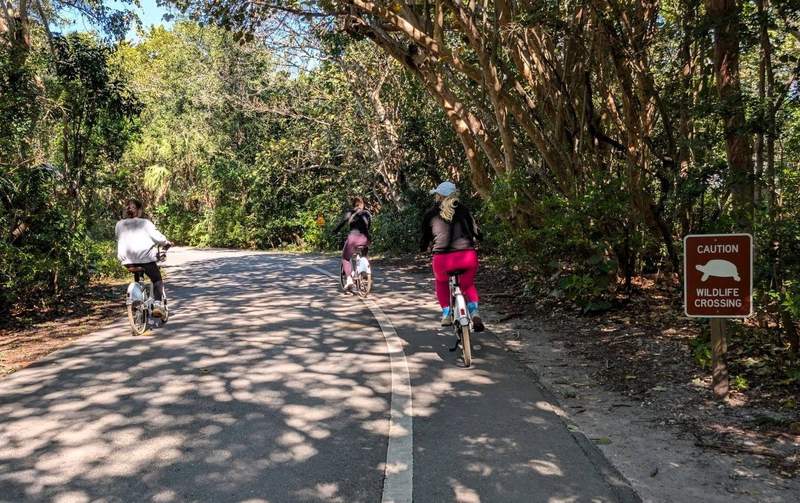 Three bicyclists ride on a paved road next to a turtle crossing sign in Fort Lauderdale