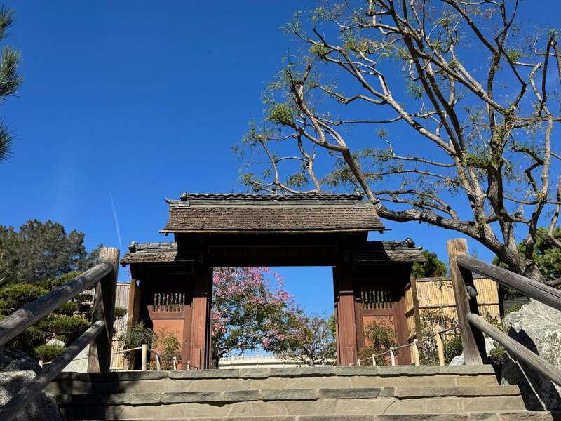 Steps leading up to an entrance to the Japanese Friendship Garden in San Diego with cherry blossoms in the background