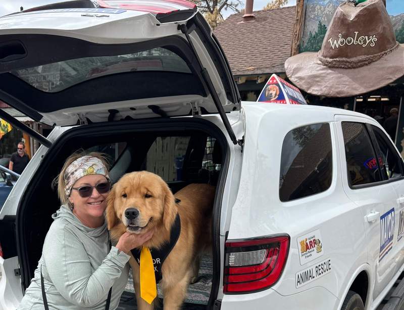 Woman with a dog in the back of an SUV