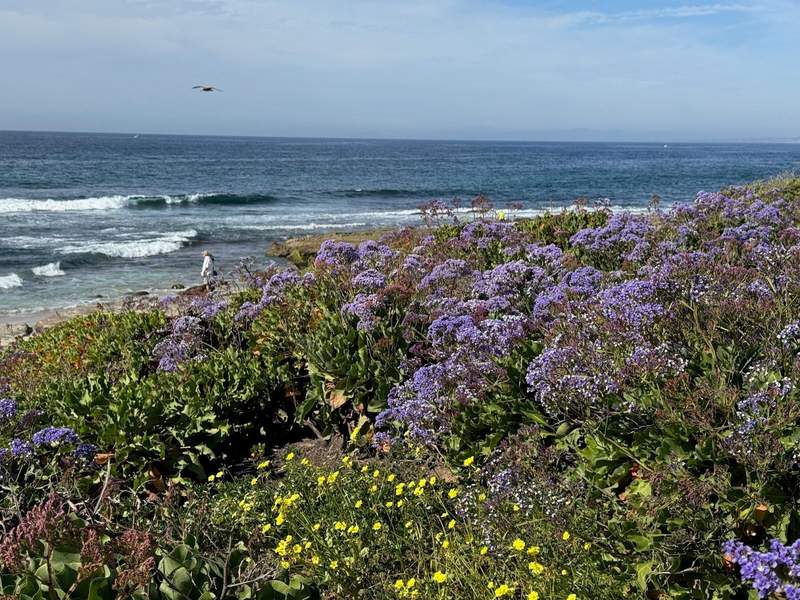 Ocean with waves and colorful flowers leading to a beach