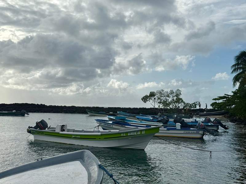 Colorful boats, locally known as  pangas along the shoreline. 