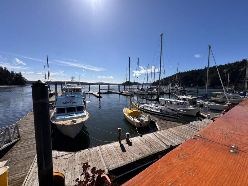 Marina with piers and yachts tied up to the dock.