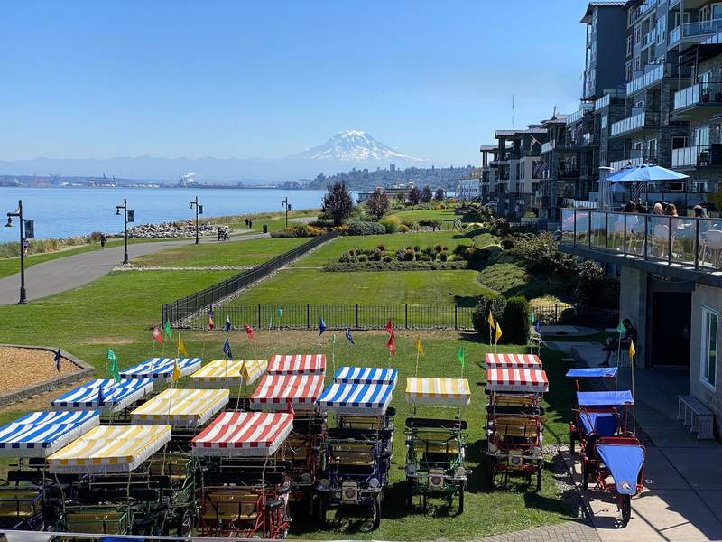 Mt Rainier in the distance overlooking Puget Sound, in foreground greenspace with surrey bicycles.