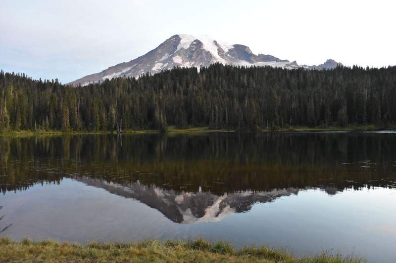 Mount Rainier with a forest in front reflecting in Reflection Lake.