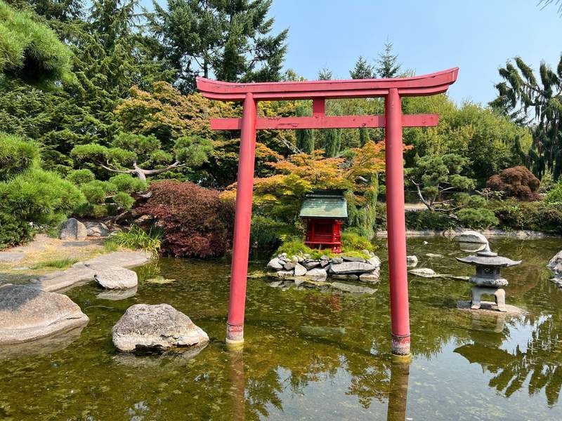 Japanese garden with a pond and Japanese decorations surrounded by trees.