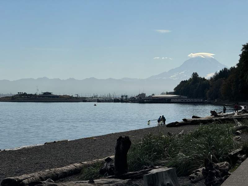  Beach with logs and people looking at the water, Mount Rainier in the distance.