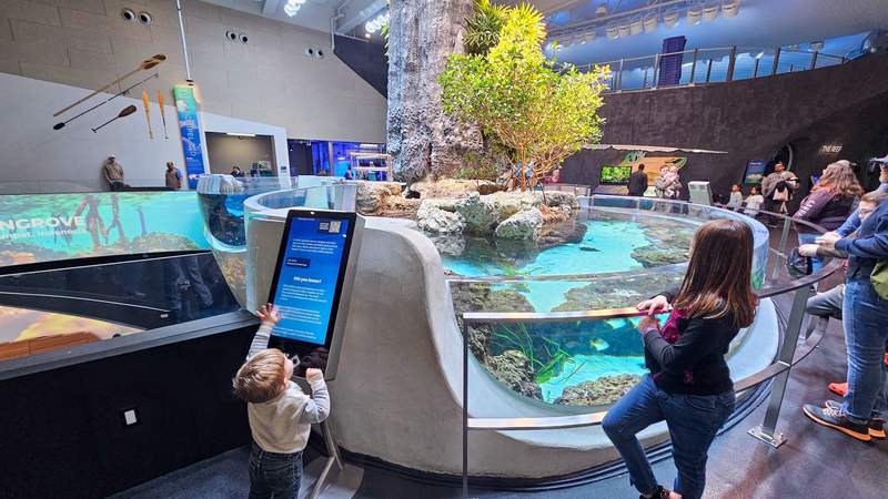 Two kids standing in front of an aquarium exhibit using the interactive screens