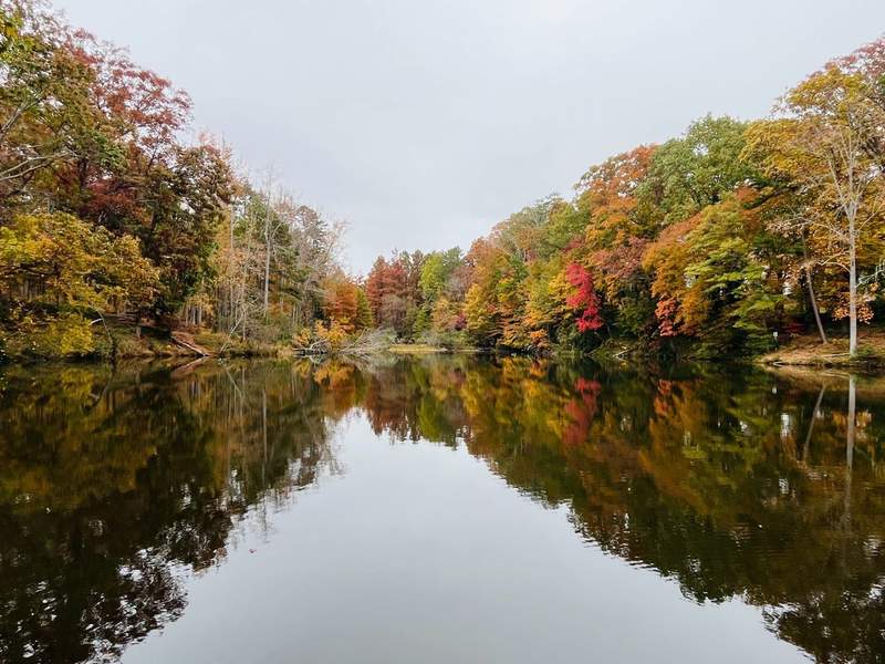 Lake with colorful trees around it