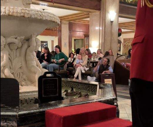 Peabody ducks in fountain surrounded by crowd in lobby.