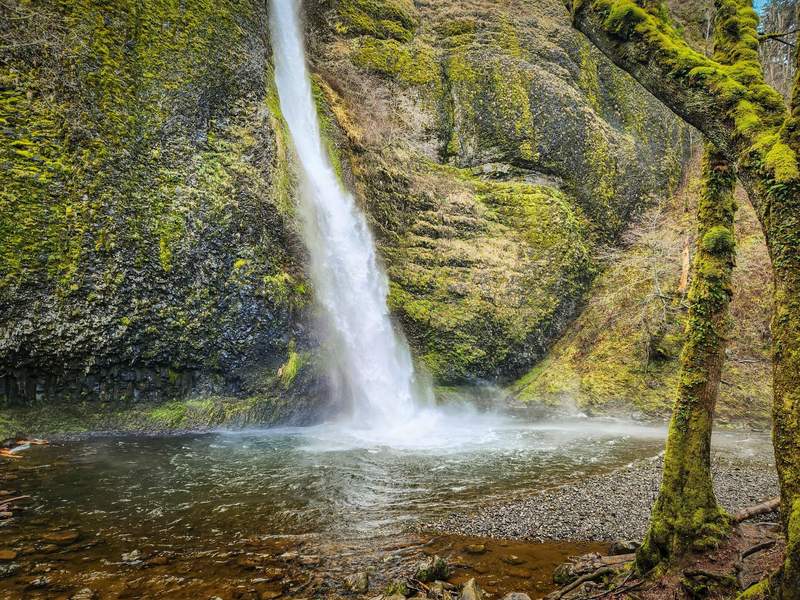 Waterfall and moss-covered trees