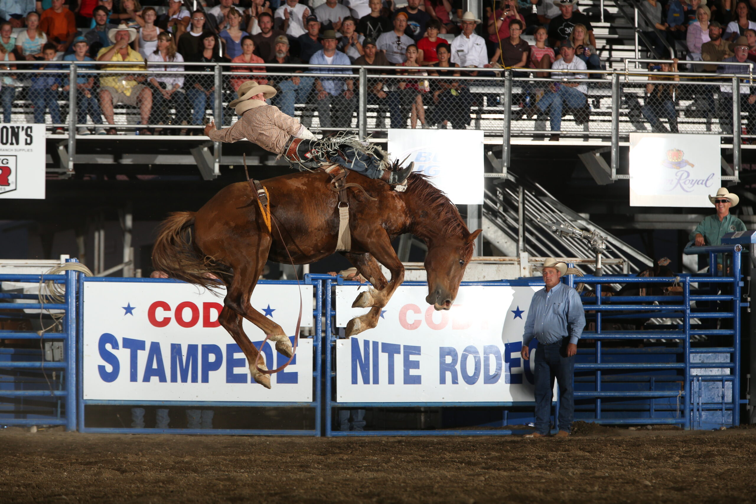 Saddle Up for Summer in Cody, Wyoming: 20+ Fun Things to Do Near Yellowstone