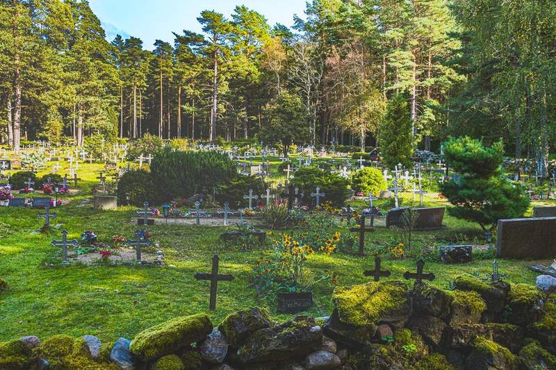 A graveyard with a band of trees in the background
