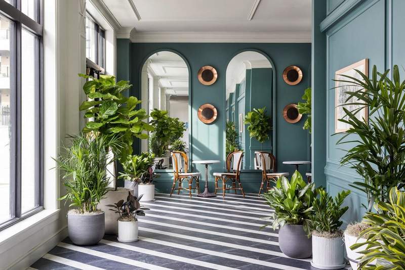 The historic Kimpton Cottonwood Hotel in Omaha has been renovated with many contemporary touches including a variety of greenery.