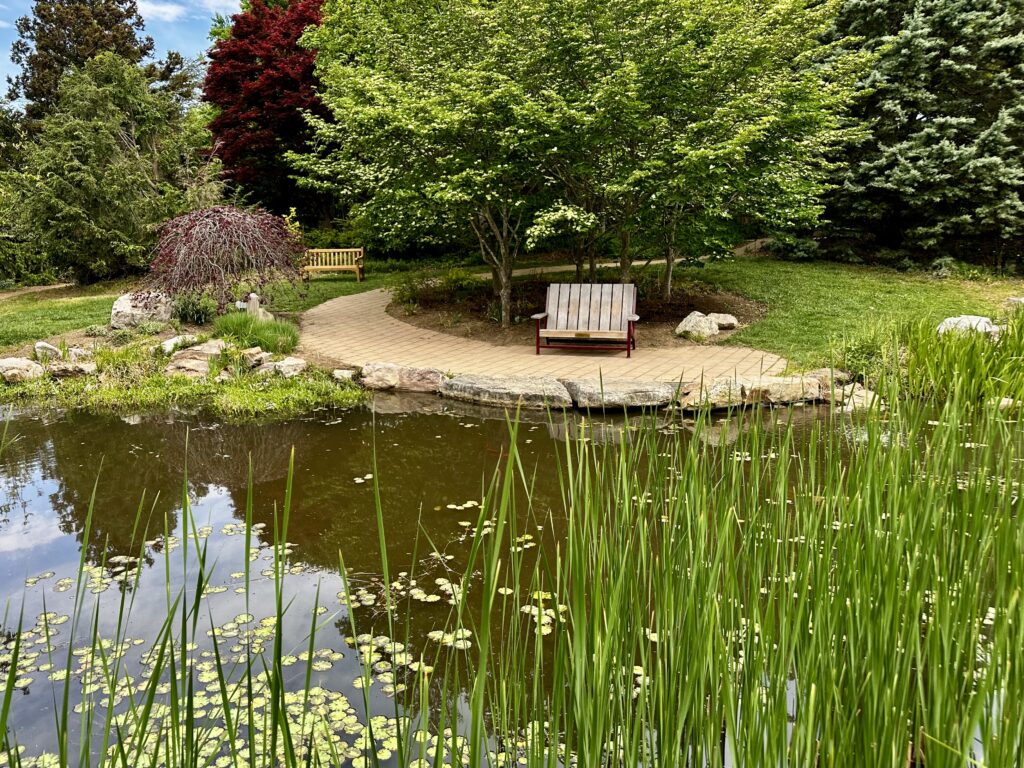 Koi pond seating area at the Hahn Horticulture Garden on the Virginia Tech campus.