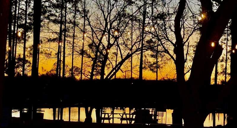Sun sets across a lake and behind tall trees casting brownish yellow light onto wooden picnic tables.