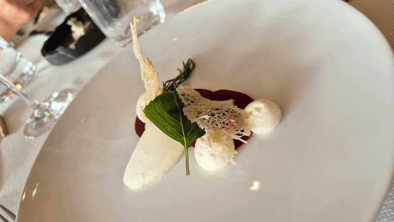 A plated dessert with white chocolate and berries