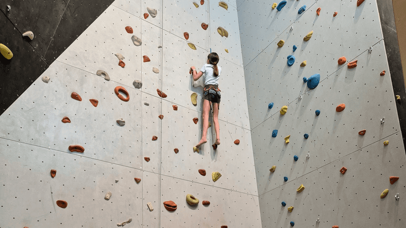 A young girl, wearing a safety harness, scales an indoor climbing wall