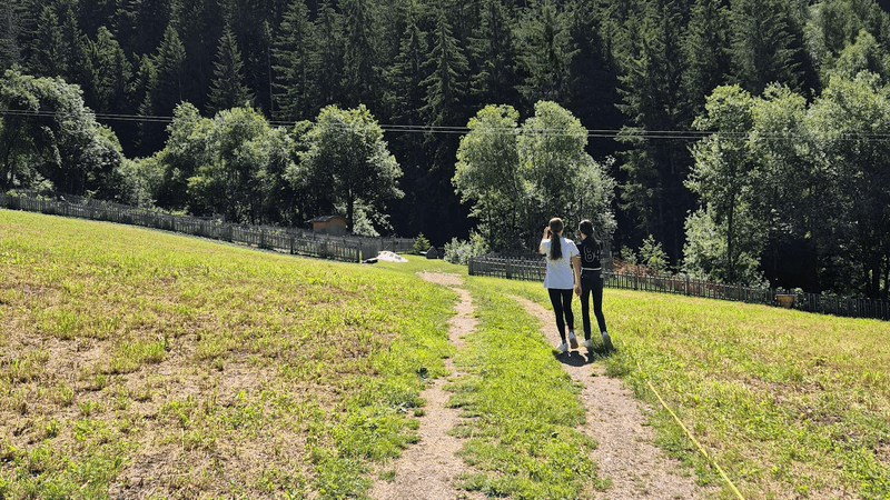 Two girls with their backs towards us, walking outside in a grassy area. 