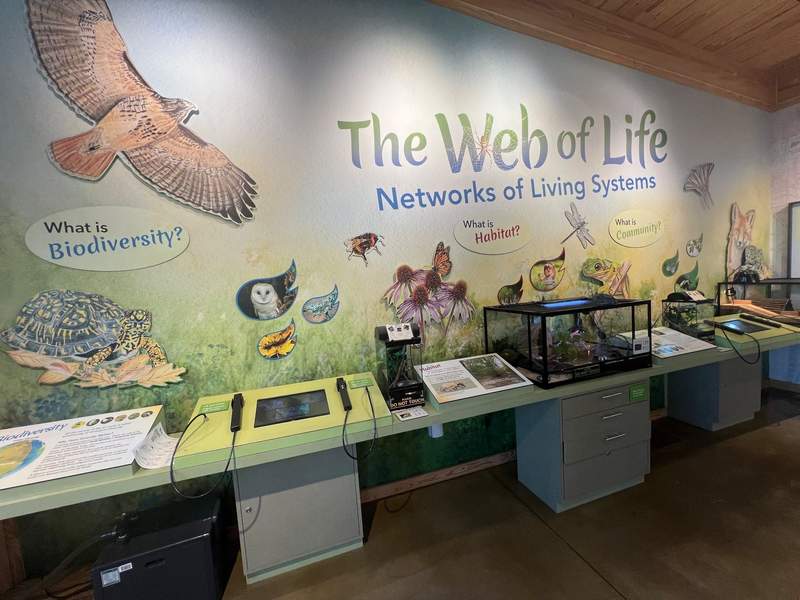 Hands-on exhibits inside the Nature Center at Rotary Park.