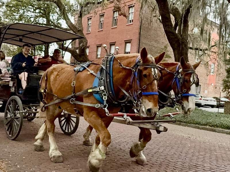 Savannah Romantic Getaway: What Most Travelers Miss
