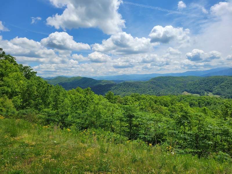 Discover the Healing Power of a Smoky Mountains Nature Retreat
