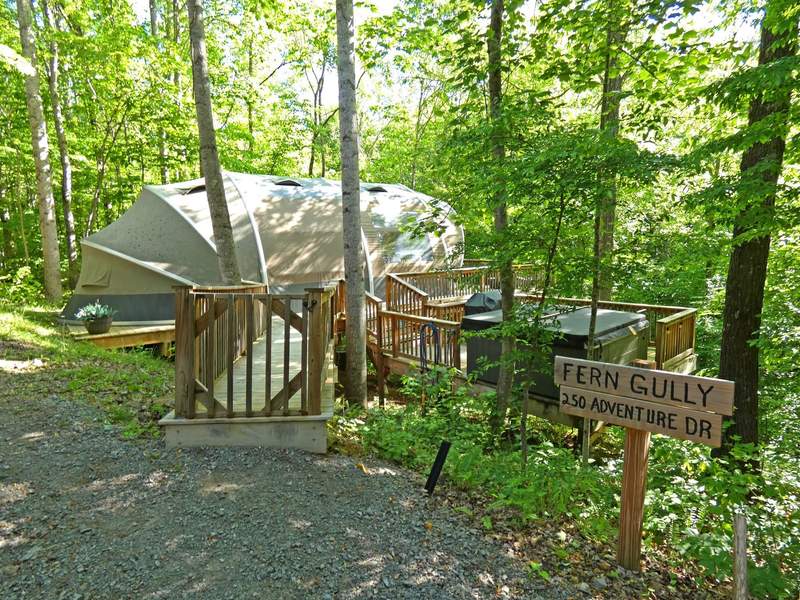 A tree tent set among mountain trees with a deck.