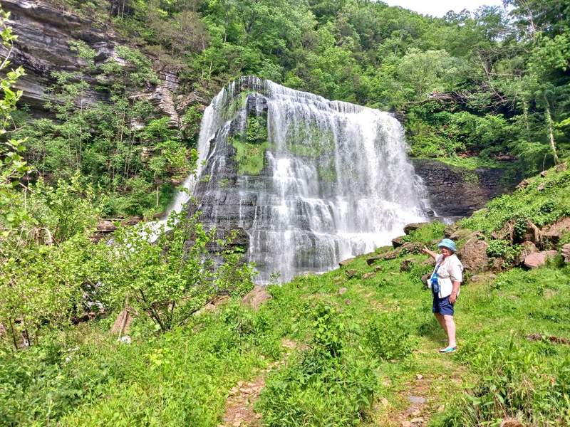 A woman standing in a grassy area pointing at a waterfall.