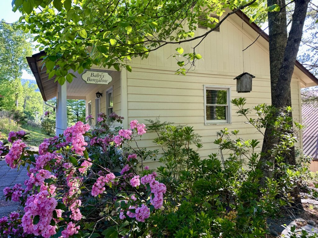 Pink azaleas frame Baby's Bungalow, a rental cabin at the Lake Lure Inn and Spa