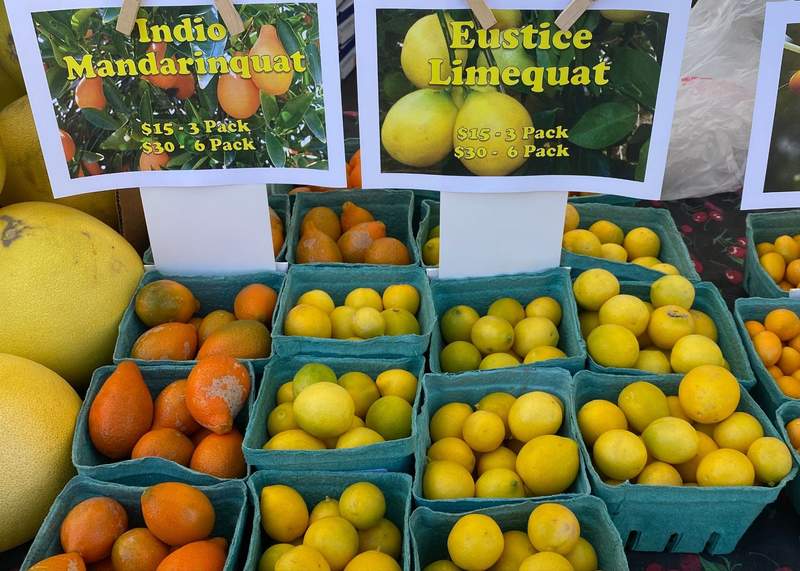 Citrus for sale at a Los Angeles farmer’s market