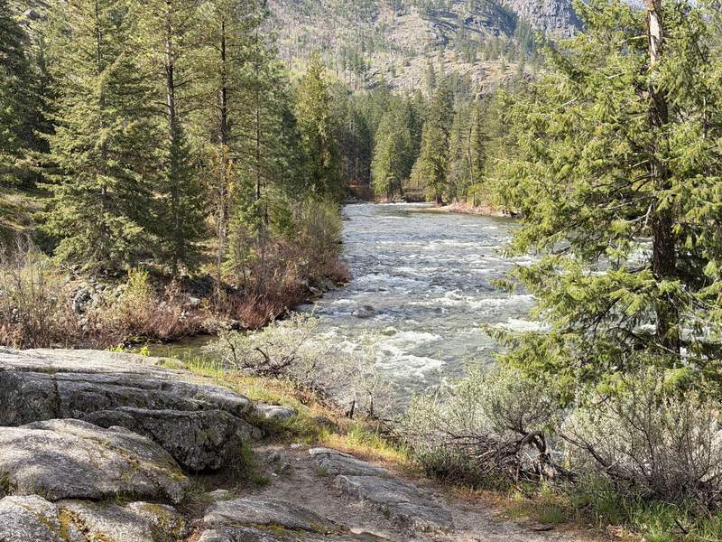 Creek with white water flows past a mountain on one side and a stony bluff on the other. Lots of trees line the banks.