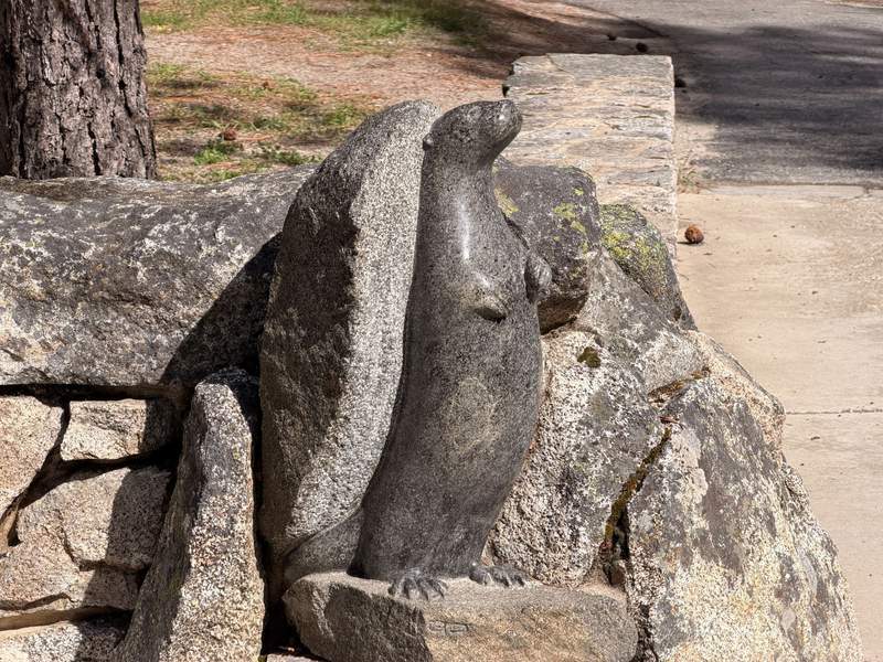 River otter carved into stone alongside a pathway.