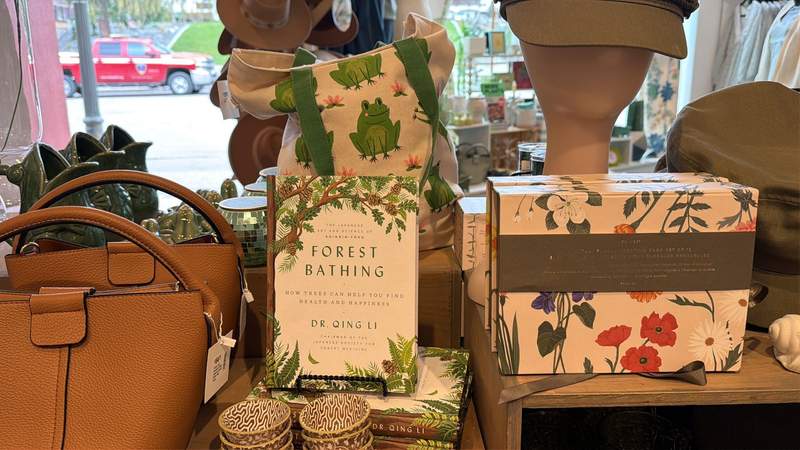 Shop items for sale at Remedy Forest and Home