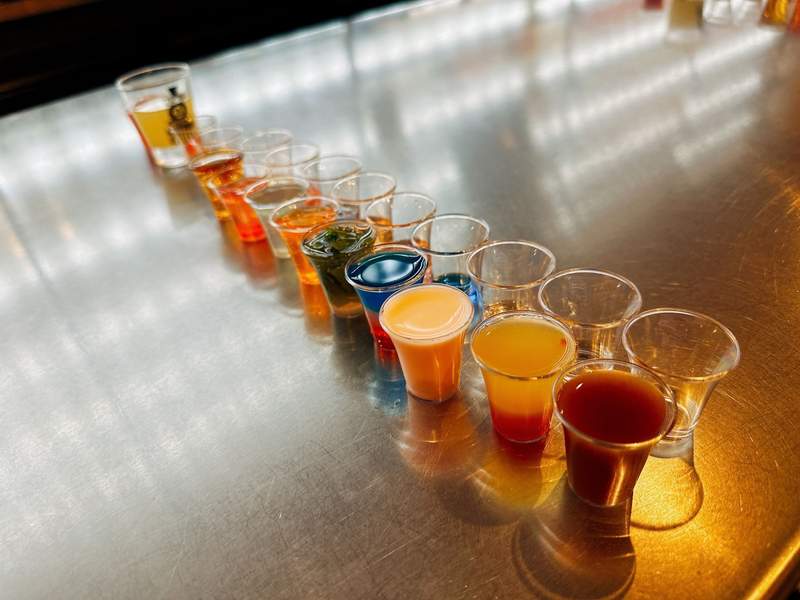 Shot glasses with colorful cocktail samples in them. 