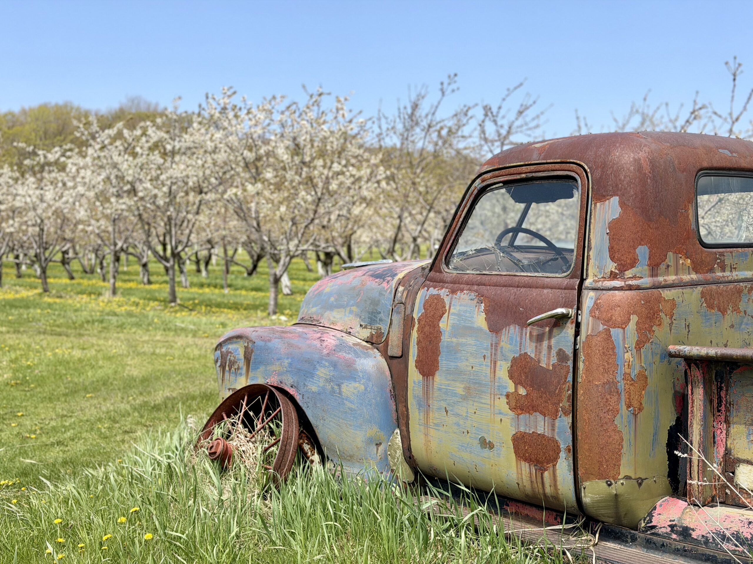 Spring in Door County is the Cherry Blossom Trip No One’s Talking About—Yet
