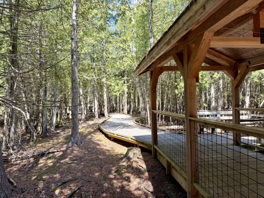 Boardwalk trail with covered pavilion at The Ridges Sanctuary