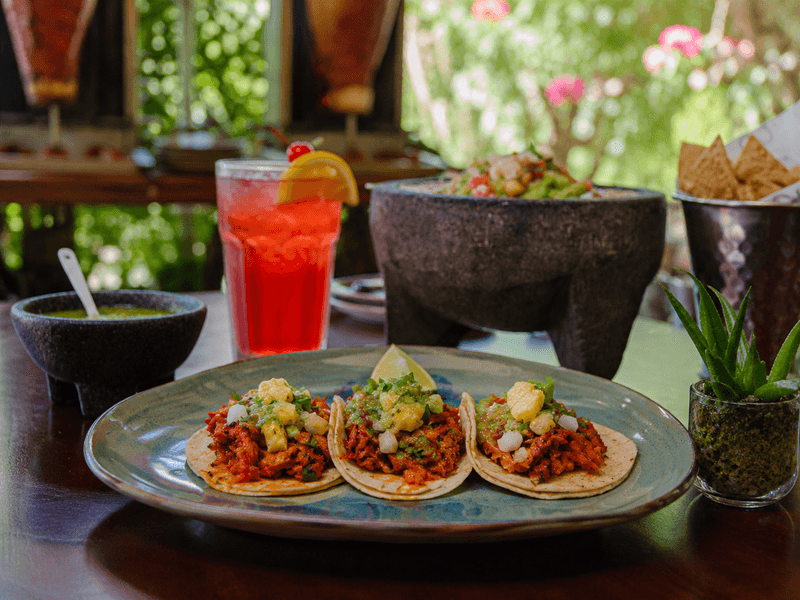 Tacos, guacamole and drinks served at El Nido restaurant at Sandos Caracol Nature Resort in Playa del Carmen Mexico.