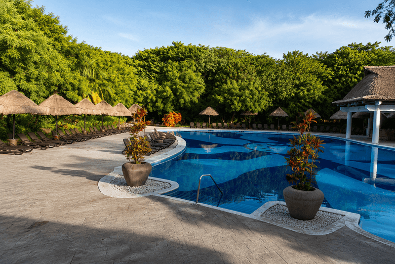 Adults-only pool surrounded by tropical trees at Sandos Caracol Nature Resort in Playa del Carmen Mexico.