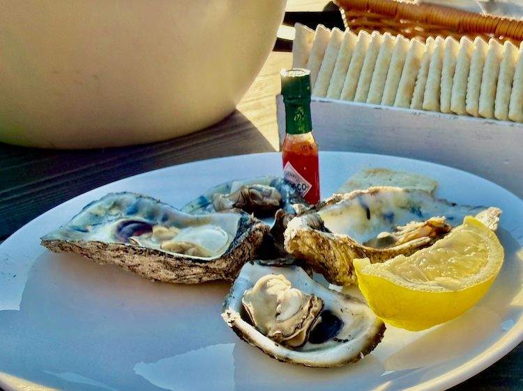 Plate of fresh oysters on the half shell served with lemon, saltines, and Tabasco