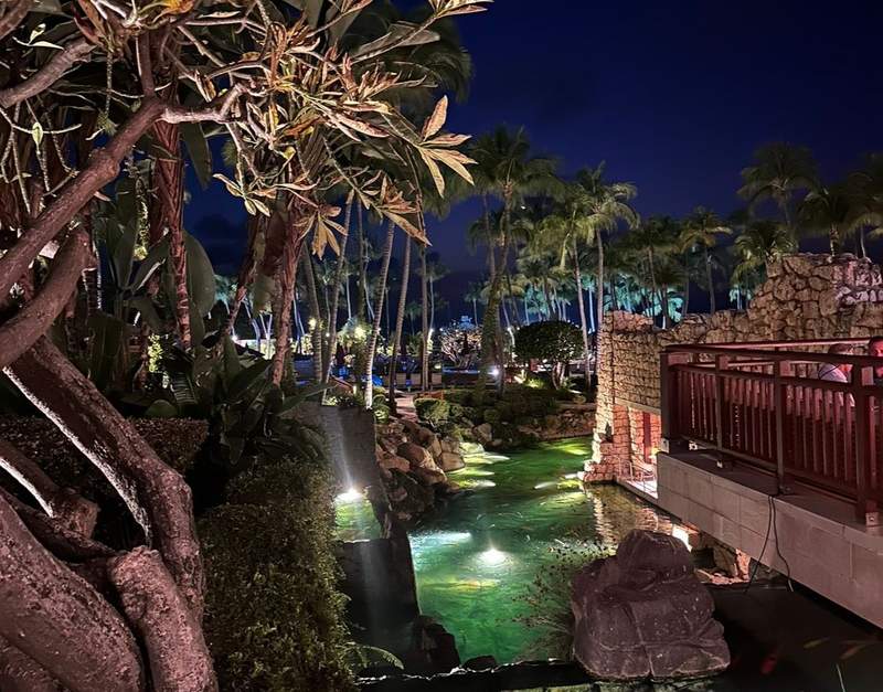 Aruba’s Best Japanese Restaurant Is Hiding Inside a Hyatt Hotel